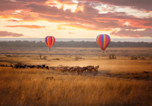 Best Spots to watch The Great Migration