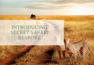 Unveiling the Secrets of Incredible Travel in Kenya: Introducing Secret Safari Bespoke