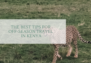 The Best Tips for Off-Season Travel in Kenya