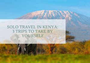 Solo Travel in Kenya: 3 Trips to Take By Yourself