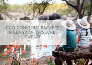 ECO-CONSCIOUS ESCAPES IN KENYA WITH SECRET SAFARI