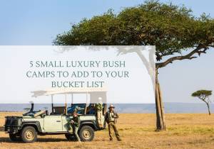 5 Small Luxury Bush Camps to add to your Bucket List