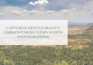 Capturing Kenya's Beauty: 5 Breathtaking Views Worth Photographing