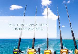 Reel it In: Kenya's Top 5 Fishing Paradises