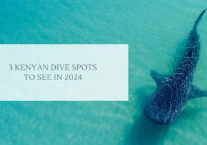 3 Kenyan Dive Spots to see in 2024