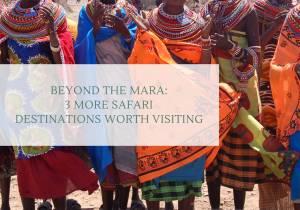 Beyond the Mara: 3 Safari Destinations Worth Visiting