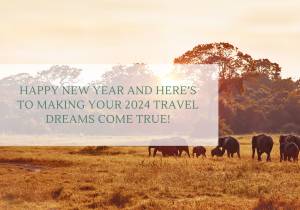 We Can’t Wait to See Where 2024 Takes You!