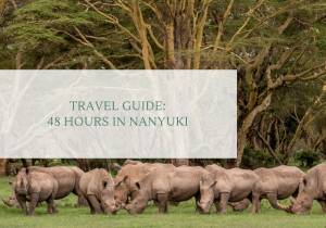 Nairobi Escape: 48 Hours in Nanyuki