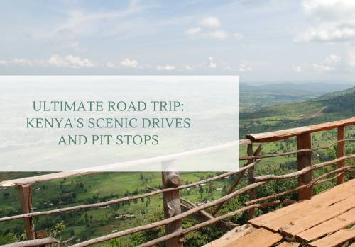 Ultimate Road Trip: Kenya's Scenic Drives and Pit Stops