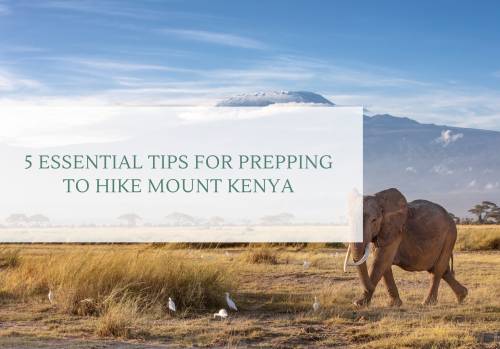 Conquer the Heights: 5 Essential Tips for Prepping to Hike Mount Kenya