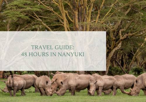 Nairobi Escape: 48 Hours in Nanyuki