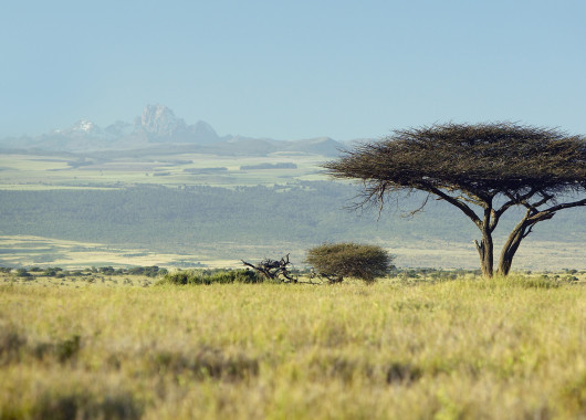 Laikipia, Nanyuki & Mount Kenya